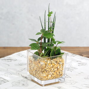 iϗtAjnChJ`[@~jϗt3̊񂹐A@ubNOXi1j@[ICg@A@@@v[g