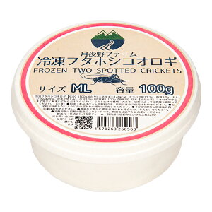 Ⓚt^zVML@100g@t@[@ⓀRIM@Y@ʓrN[萔@퉷is