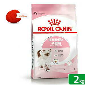 CJi@qL@Lg@̎qLp@12܂Ł@2kg@Wbvt@{@IWi@֓