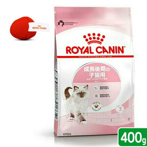 CJi@q˂@Lg@̎qLp@12܂Ł@400g@Wbv@{@IWi@֓