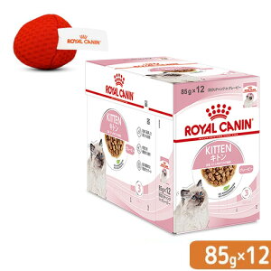 CJi@qL@Lg@O[r[@̎qLp@85g@12܁@{@IWi@֓