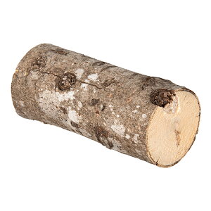 JGfY؁@S@זځ@Ǎށ@֓