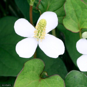 iR쑐jhN_~@3i1|bgjixԁj