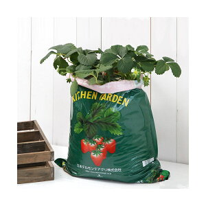 iϗtAjfe@Lb`K[f@ȒPC`S͔|ZbgiC`Sc@߂fJbItji1Zbgj@ƒ؉