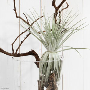 iϗtAjGA[vc@`WA@Khl[@XLTCYi1j