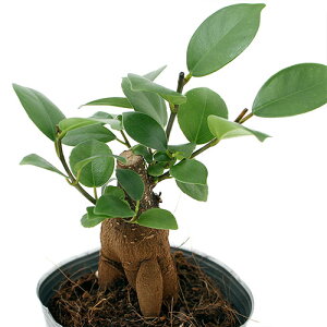 iϗtAj@CeA@KW}@2D5`3i3|bgj삪ZލK̖