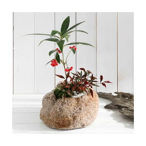 iR쑐j~́@R쑐~́@RΐΔ񂹐A@qNEƃie@LTCYi1jixԁj