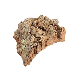 AEgbgi@VRo[WRNfBXvC@Si12`25cmOj@500g@󂠂@֓