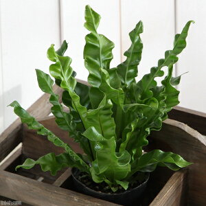 iϗtAjV_@AXvjE@vJ[c@AJL@3i@5|bgZbgj