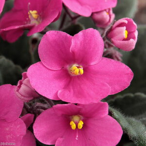 iϗtAjZg|[A@W[WA@Iv`}@3D5i1j