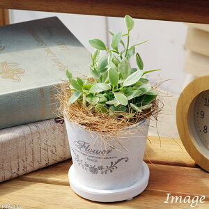 iϗtAjfBXLfBA@Gh@tOhEhXXSAi1j@Mt@RRV@A@@@v[g