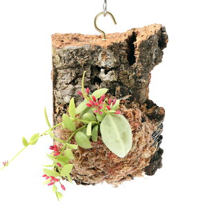 iϗtAjo[WRNvc@fBXLfBA@JK[|Pbgi1j@AA