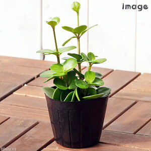 iϗtAjyy~A@z[v@3i1|bgj