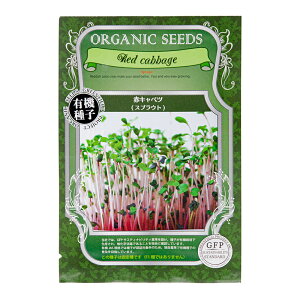 L@q@XvEg@ԃLxci1܁j@ƒ؉