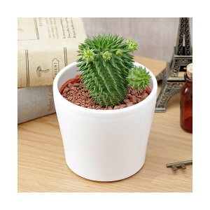 iAj[tHrA@hS{[iXUiG@ڗWj@3i1j