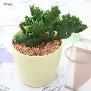 iAj[tHrA@O[`Lp[iIRN[^ԉj@3i1j