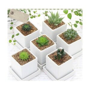 iAjnI`A@i킨܂@픫A@_CXSi1j@Mt@ԋʓy@A@@@v[g