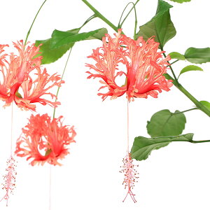 iϗtAjtEub\EQi镧Kԁj@3`3D5i1|bgj@nCrXJX