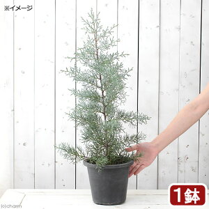 iϗtAjRjt@[@u[ACX@6i1j