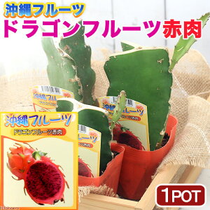 iϗtAjʎc@hSt[c@ԓ@3D5i1|bgj@ƒ؉@@ʕ@t[c