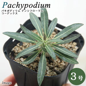 iAjpL|fBE@fVt[@Vőʋ@3`3D5i1|bgj@R[fbNX