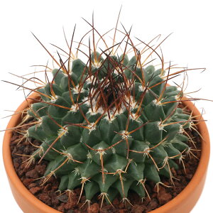 iAjfĔ@T{e@}~A@fՊہi_L}j@3i1j