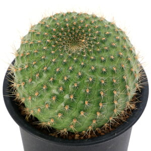 iAjT{e@u`A@RizEUj@3i1j