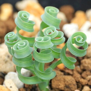 iAjAuJ@RRfBAi@2D5`3@1cmOi1j