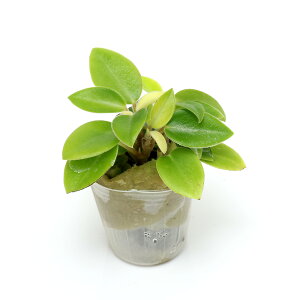 iϗtAj~jϗt@IAVXc@yy~A@Ioi1cj