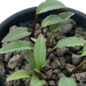 iAjh~IvVX@~k^@2D5i1j