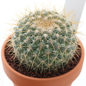 iAjfĔ@T{e@}~A@ہiJJl}j@3i1j