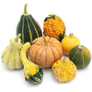 iϗtAjnEB@J{`@ނ܂i5j@CeAIuWF