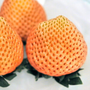 iϗtAjؕc@C`S@OiPVPj@3i3|bgj@ƒ؉@c@ʕ@t[c