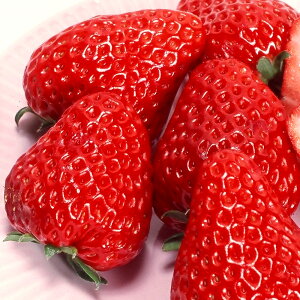 iϗtAjؕc@C`S@gق؁@3i3|bgj@ƒ؉@c@ʕ@t[c