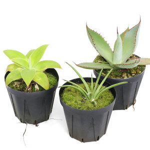 iAjAKx@i킨܂@3`3D5i1j