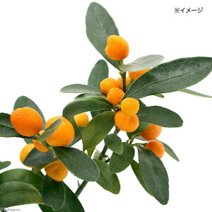 iR쑐jLYij@3`4.5i1|bgjixԁj