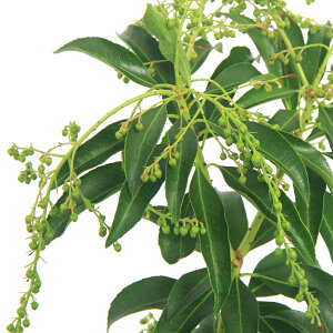 i~́jAZrin؁j@ԉԁ@4i1jixԁj