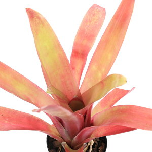 iϗtAjrxMA@AGi@ui1j^NuA