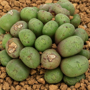 iAjRmtBc@~kXN@2`2D5i1j