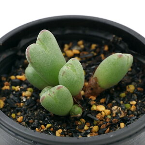 iAjRmtBc@`ErjAG@2i1j