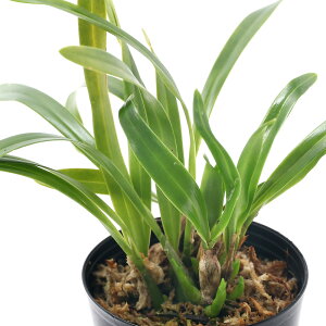 iϗtAjm@vXePA@J}A@}[Sbc@~j@2D5`3i1j