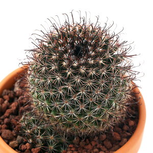 iAjfĔ@T{e@}~A@eہiEdL}j@3i1j