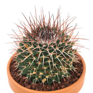 iAjfĔ@T{e@}~A@ԎhہiJV}j@3i1j