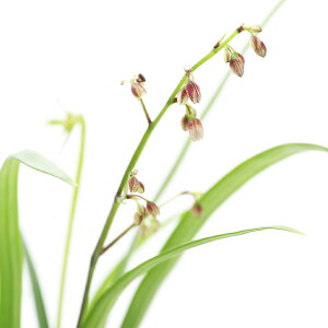 iR쑐jPCr@vPCr@3i1jixԁjixԁj