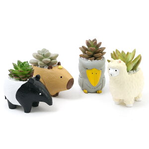 iϗtAj܂v`@Aj}@܂i1jł܂鍻