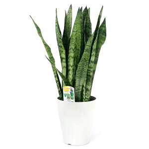 iϗtAj^@CeA@TXxA@[jJ@6`7i1j