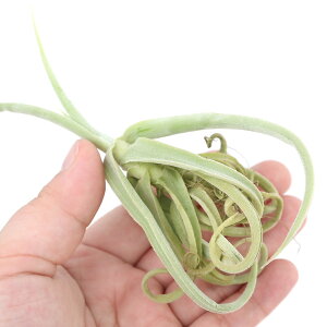 iϗtAjGA[vc@`WA@h[eB@~ji1j