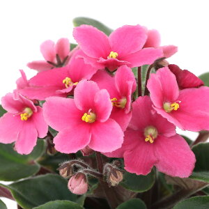 iϗtAjZg|[A@WFVJ@Cm[o@3D5i1j