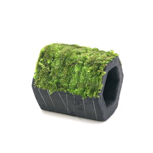 ijā@EB[X@YƓyǁ@p^itji_ji1j