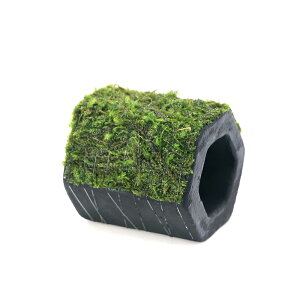 ijā@ăEB[X@YƓyǁ@p^itji_ji1j